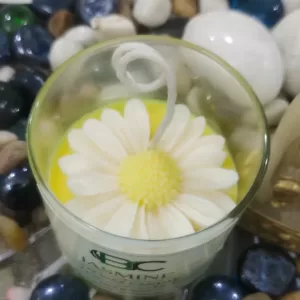 🌼✨ Jasmine & Daisy Candle – Floral Elegance in Every Glow ✨🌸